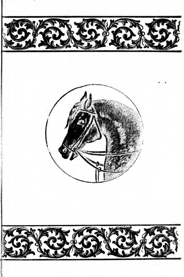 The horse : how to buy and sell, giving the points which distinguish a sound from an unsound horse by Howden Peter