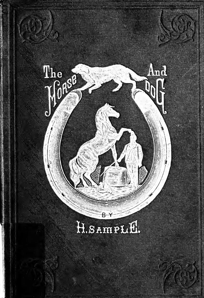 The horse and dog : not as they are, but as they should be. Old and erroneous theories relative to the management of the horse brought face to face with the facts of the nineteenth century by Sample H