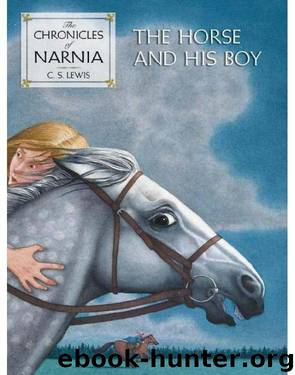 The horse and his boy by C. S. Lewis