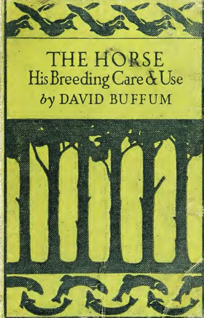 The horse; his breeding, care and use by Buffum David