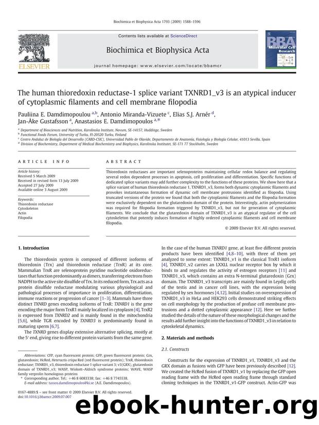 The human thioredoxin reductase-1 splice variant TXNRD1_v3 is an atypical inducer of cytoplasmic filaments and cell membrane filopodia by unknow