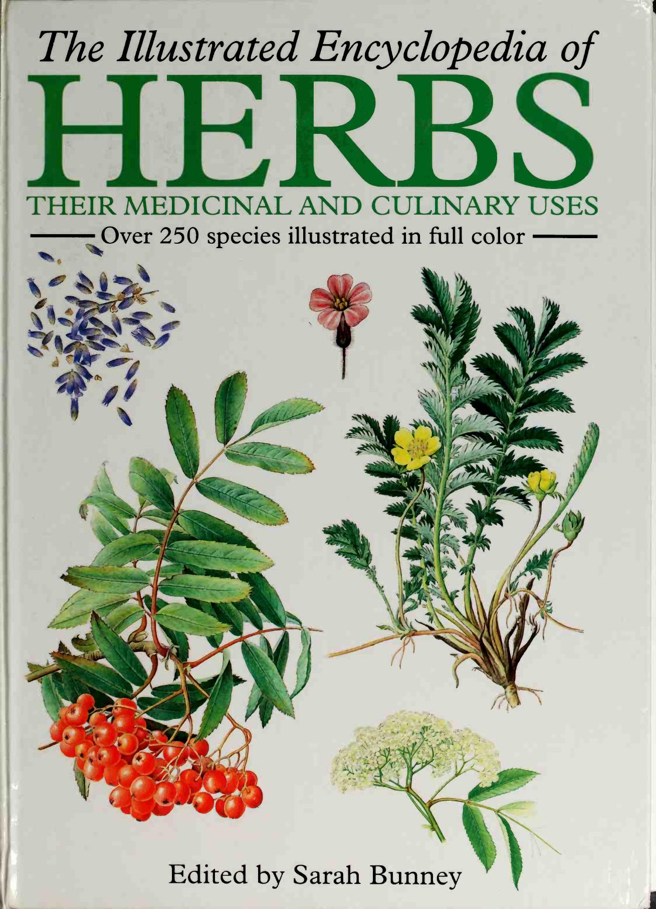 The illustrated encyclopedia of herbs : their medicinal and culinary uses by Bunney Sarah