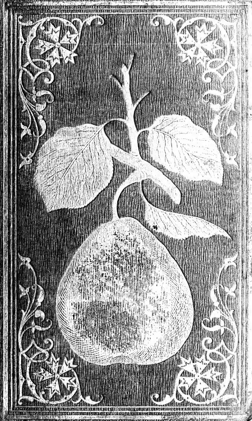 The illustrated pear culturist : containing plain, practical directions for planting, budding, grafting, pruning, training, and dwarfing the pear tree ... by Unknown