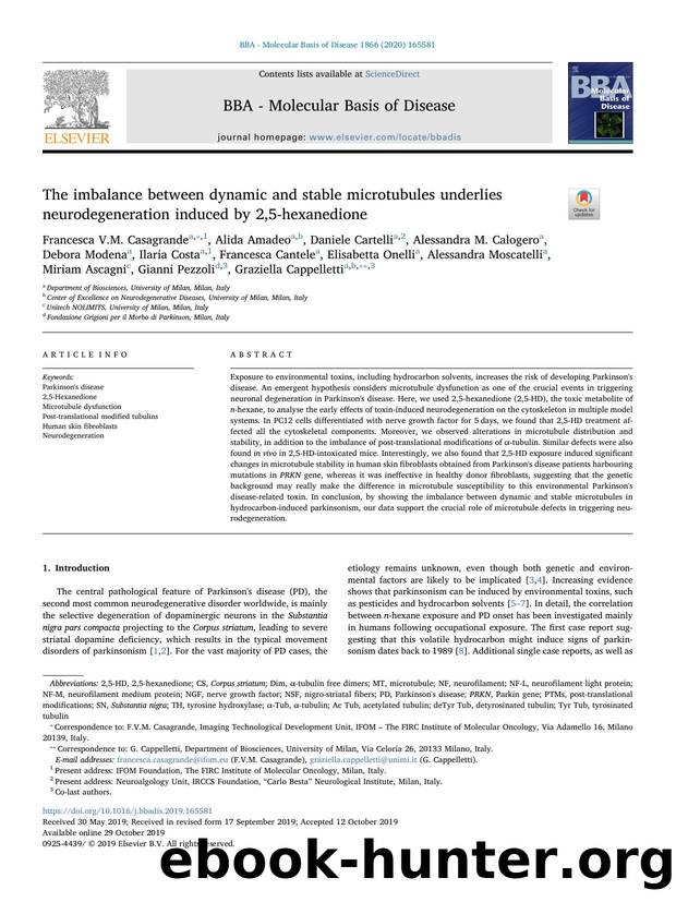 The imbalance between dynamic and stable microtubules underlies neurodegeneration induced by 2,5-hexanedione by unknow