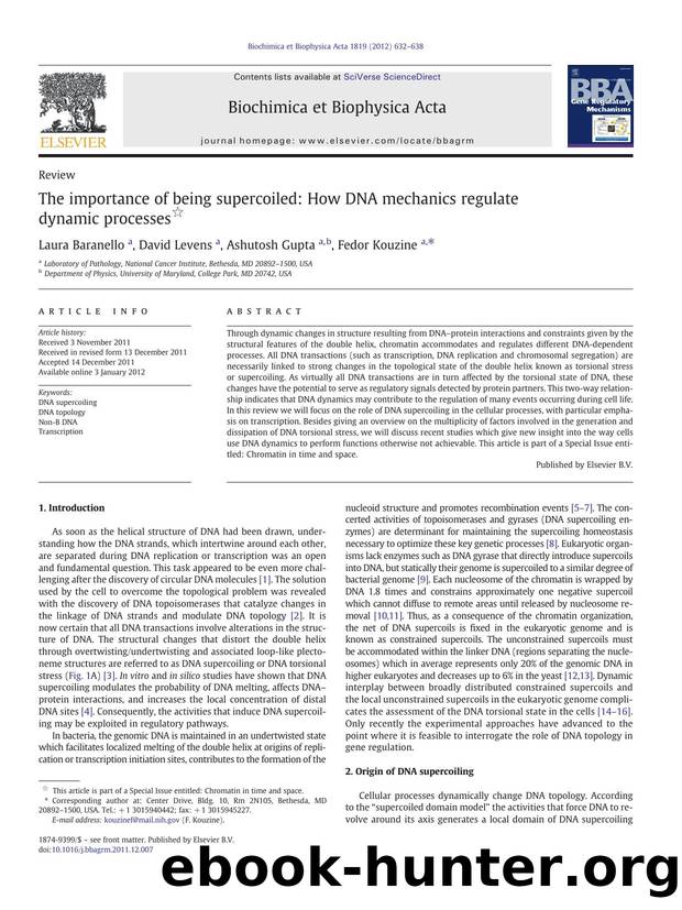 The importance of being supercoiled: How DNA mechanics regulate dynamic processes by Laura Baranello & David Levens & Ashutosh Gupta & Fedor Kouzine