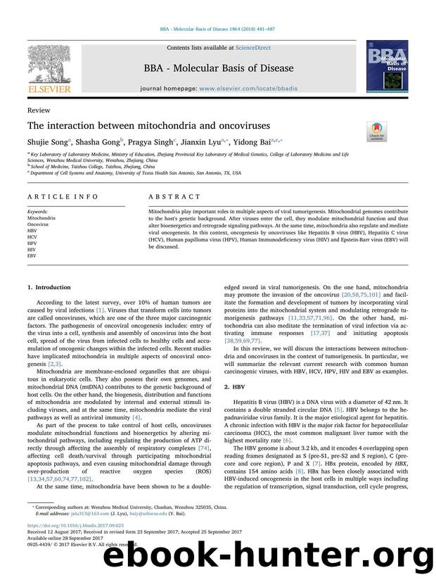 The interaction between mitochondria and oncoviruses by Shujie Song & Shasha Gong & Pragya Singh & Jianxin Lyu & Yidong Bai
