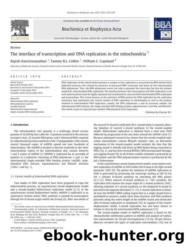 The interface of transcription and DNA replication in the mitochondria by Rajesh Kasiviswanathan & Tammy R.L. Collins & William C. Copeland
