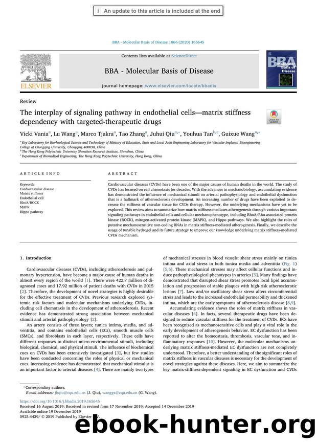 The interplay of signaling pathway in endothelial cellsâmatrix stiffness dependency with targeted-therapeutic drugs by Vicki Vania & Lu Wang & Marco Tjakra & Tao Zhang & Juhui Qiu & Youhua Tan & Guixue Wang