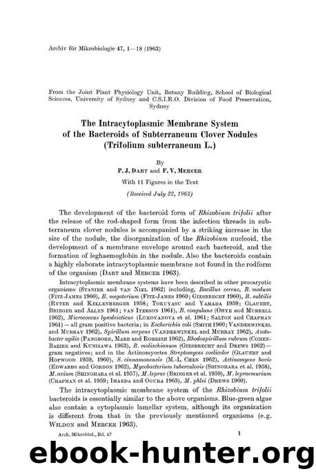 The intracytoplasmic membrane system of the bacteroids of subterraneum clover nodules (Trifolium subterraneum L.) by Unknown