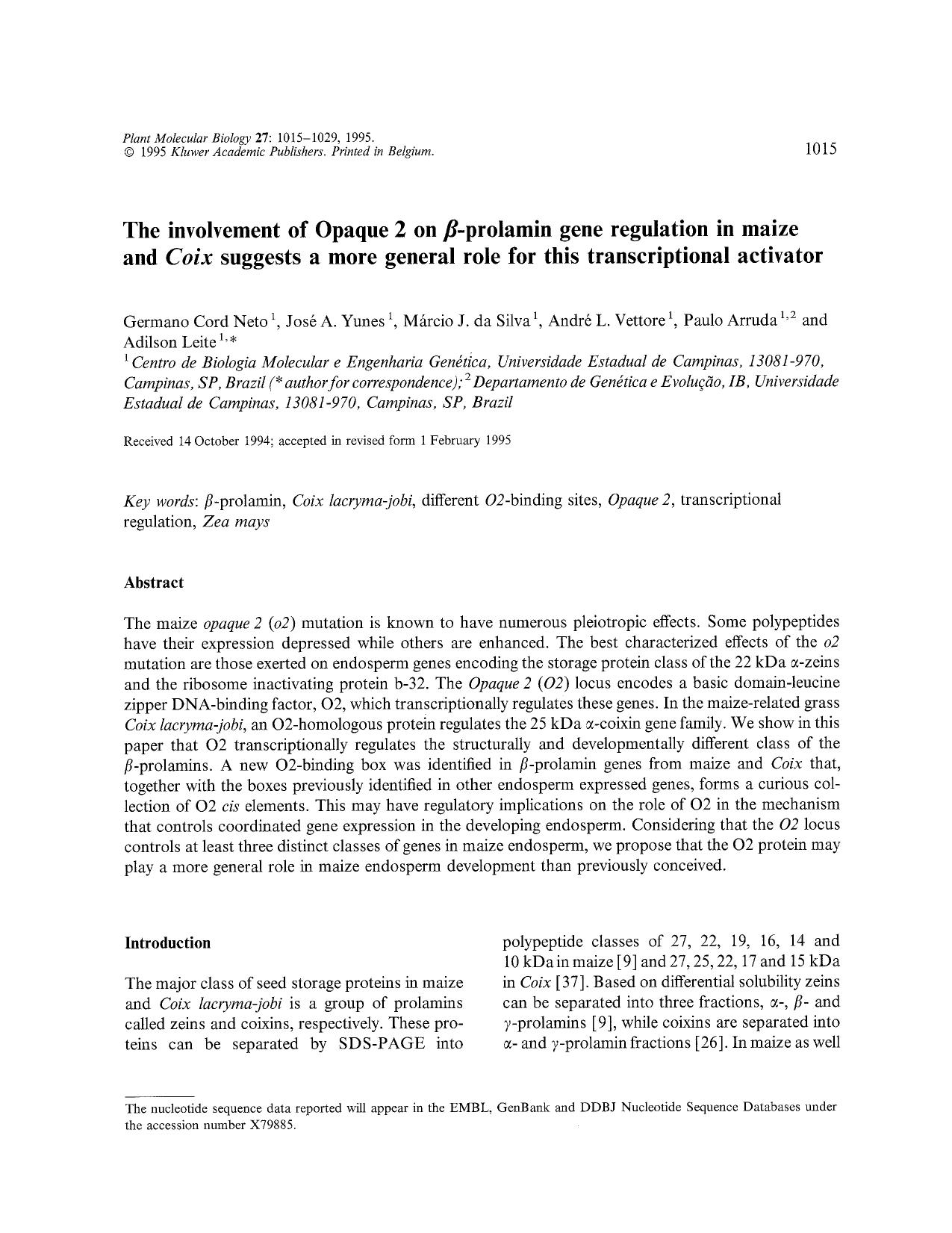 The involvement of Opaque 2 on &#x03B2;-prolamin gene regulation in maize and <Emphasis Type="Italic">Coix <Emphasis> suggests a more general role for this transcriptional activator by Unknown