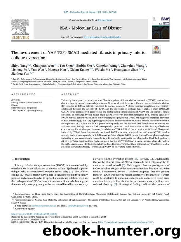 The involvement of YAP-TGFÎ²-SMAD-mediated fibrosis in primary inferior oblique overaction by unknow