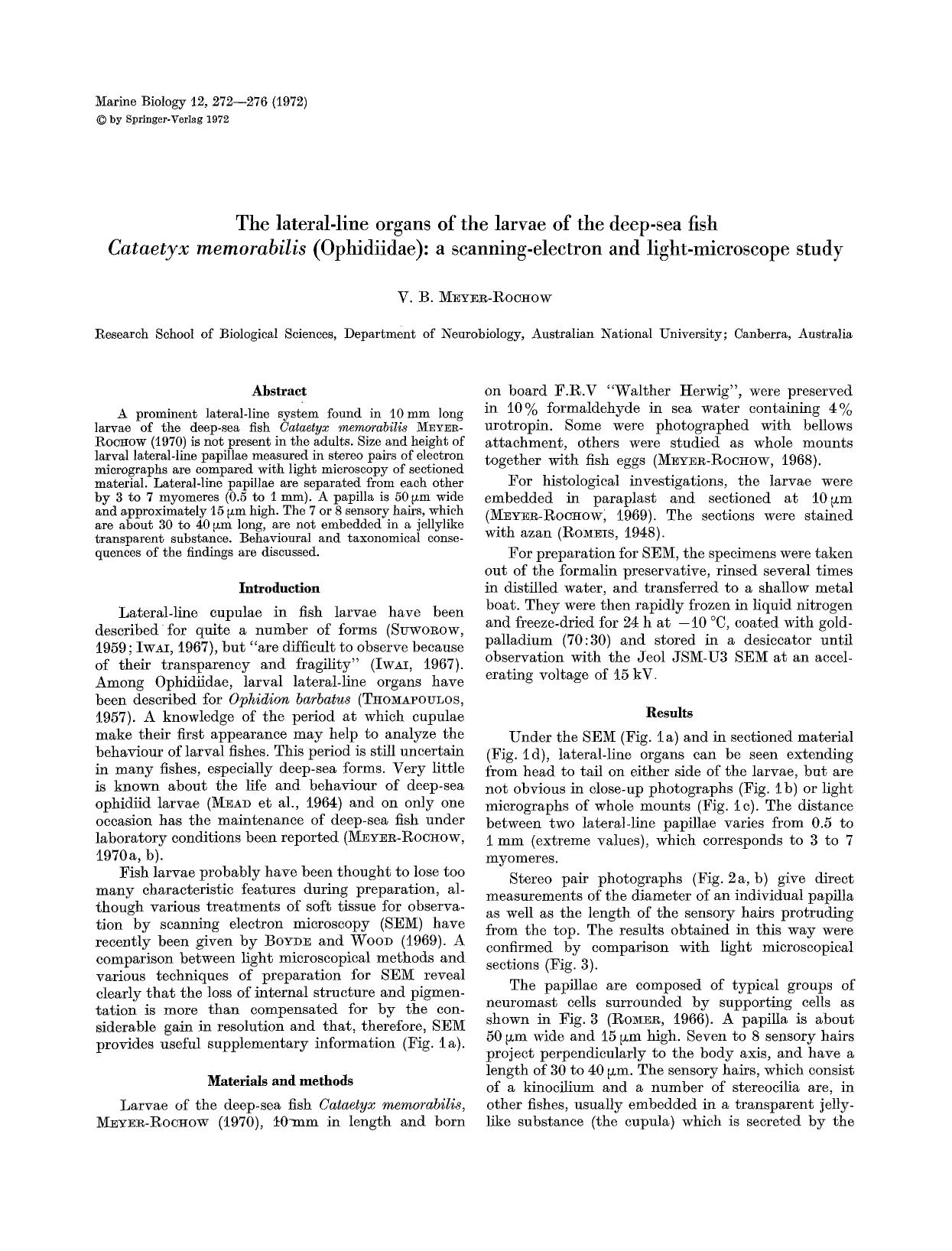 The lateral-line organs of the larvae of the deep-sea fish <Emphasis Type="Italic">Cataetyx memorabilis<Emphasis> (Ophidiidae): A scanning-electron and light-microscope study by Unknown