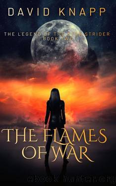 The legend of the Star Strider : Book two The flames of War by David Knapp