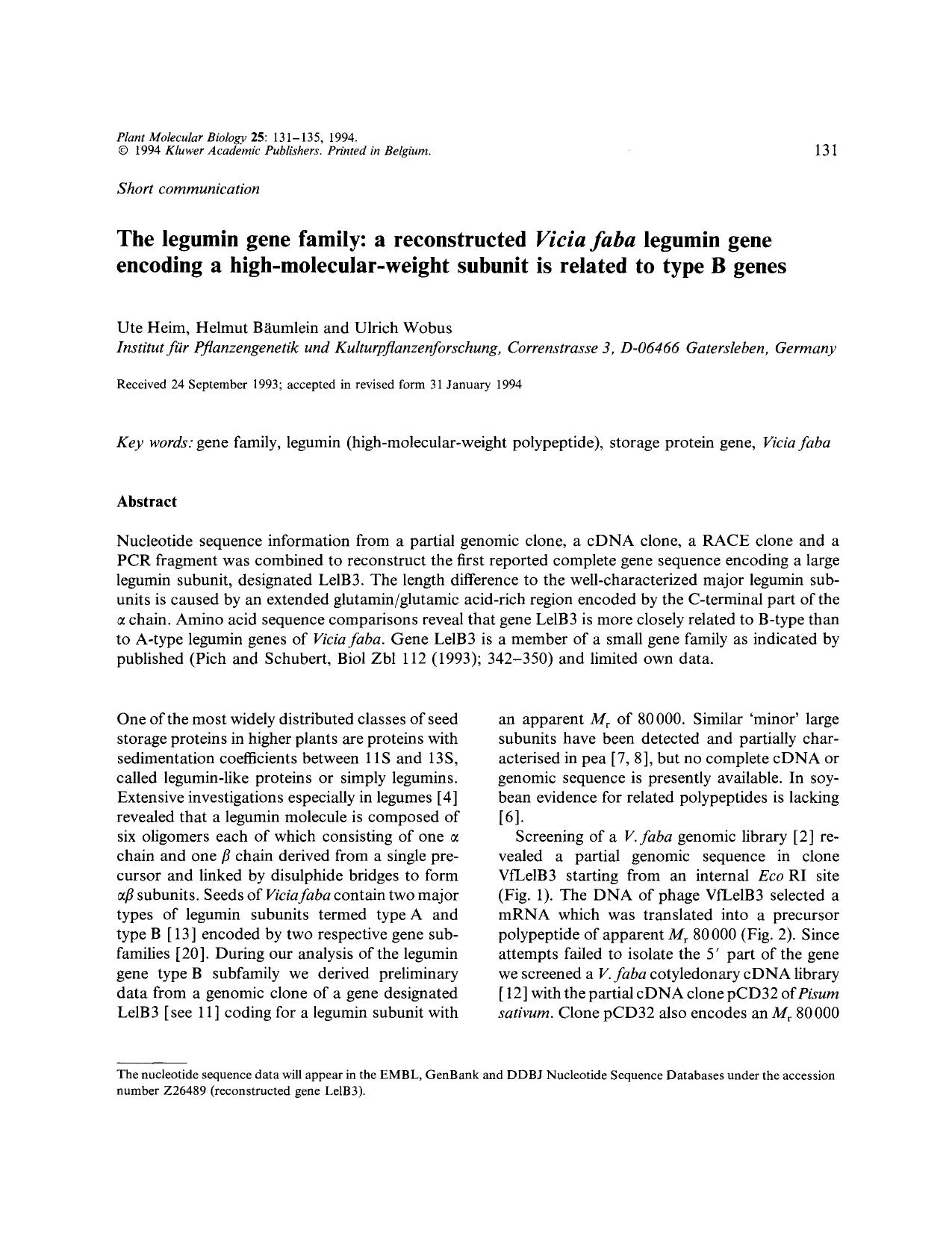 The legumin gene family: a reconstructed <Emphasis Type="Italic">Vicia faba <Emphasis> legumin gene encoding a high-molecular-weight subunit is related to type B genes by Unknown
