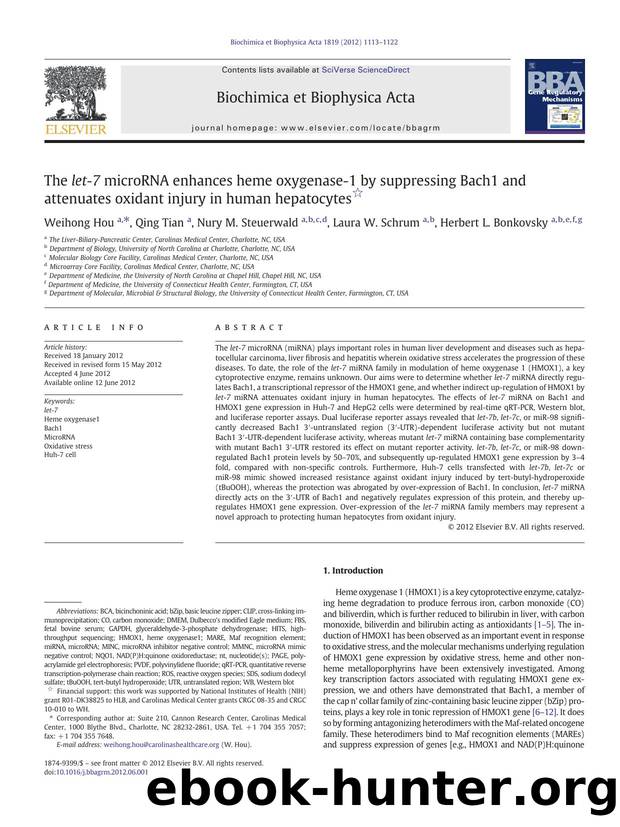 The let-7 microRNA enhances heme oxygenase-1 by suppressing Bach1 and attenuates oxidant injury in human hepatocytes by Weihong Hou & Qing Tian & Nury M. Steuerwald & Laura W. Schrum & Herbert L. Bonkovsky