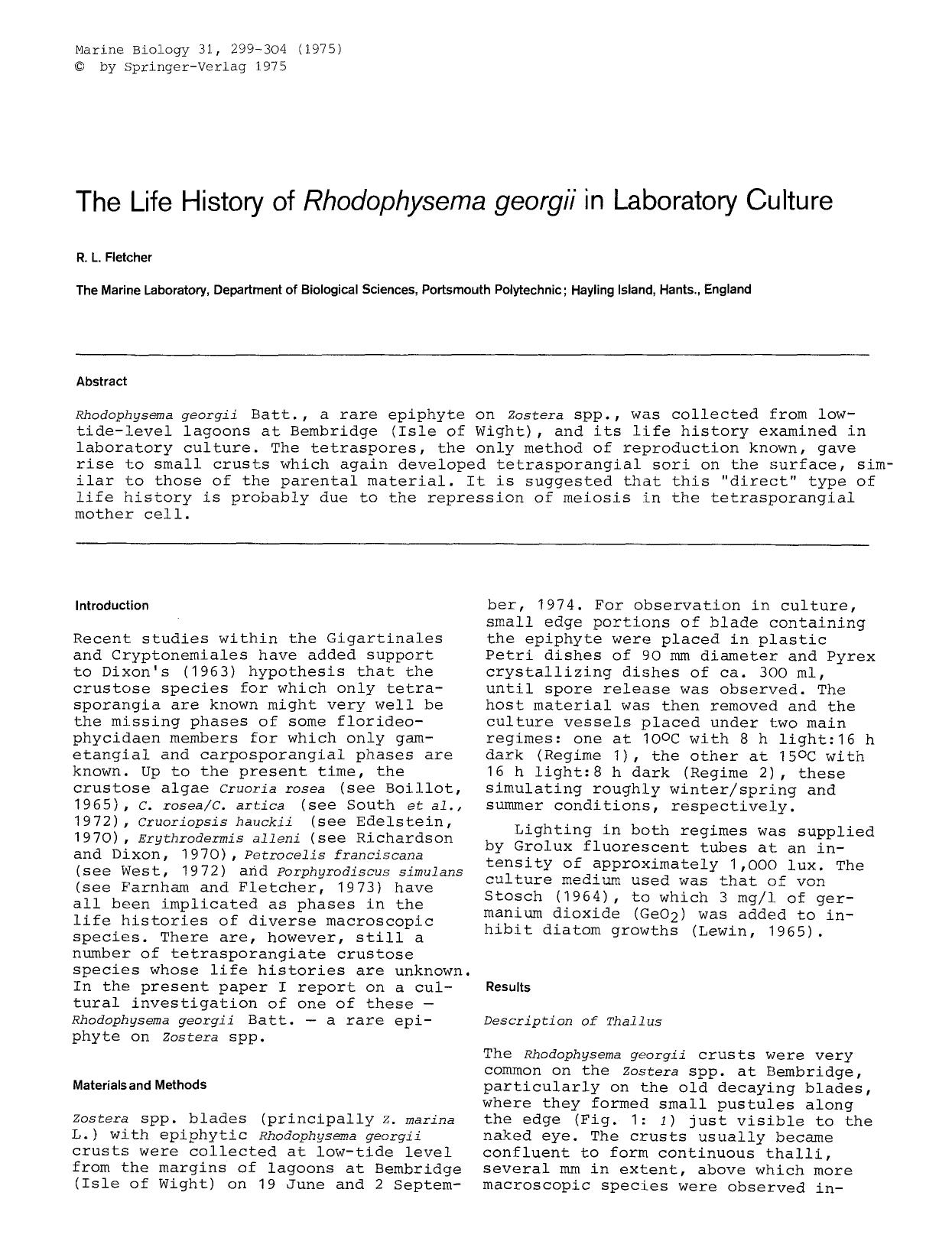 The life history of <Emphasis Type="Italic">Rhodophysema georgii<Emphasis> in laboratory culture by Unknown