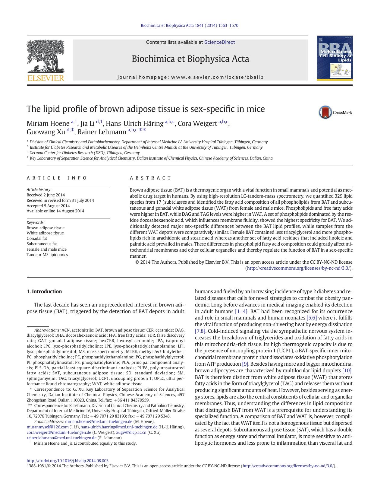 The lipid profile of brown adipose tissue is sex-specific in mice by Miriam Hoene & Jia Li & Hans-Ulrich Häring & Cora Weigert & Guowang Xu & Rainer Lehmann