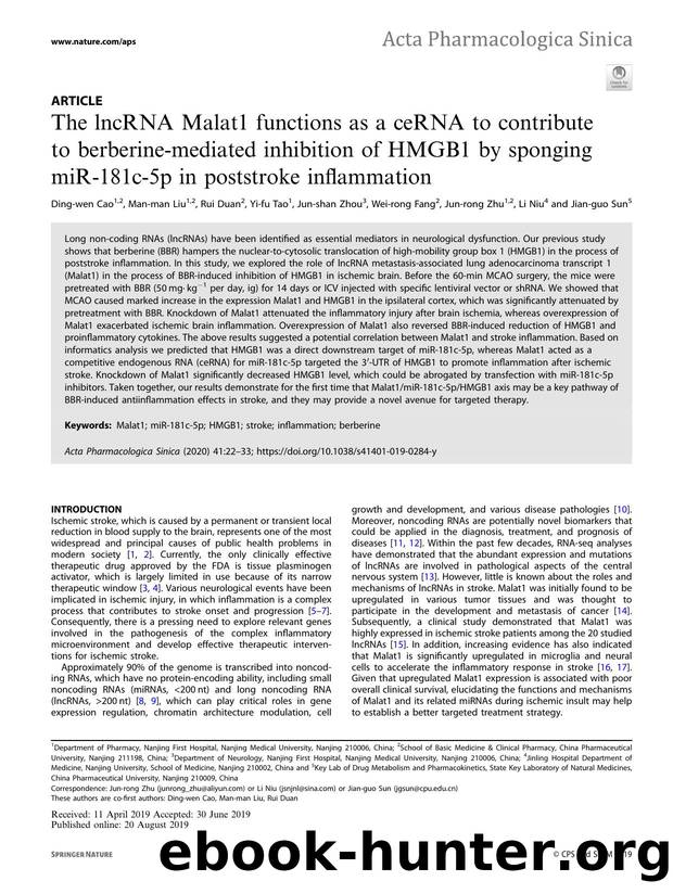 The lncRNA Malat1 functions as a ceRNA to contribute to berberine-mediated inhibition of HMGB1 by sponging miR-181c-5p in poststroke inflammation by unknow