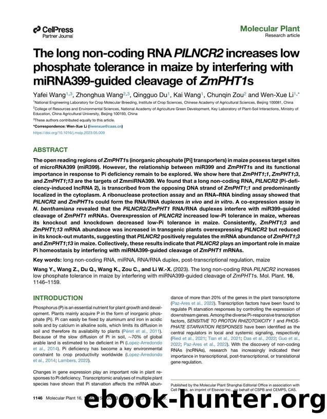 The long non-coding RNA PILNCR2 increases low phosphate tolerance in maize by interfering with miRNA399-guided cleavage of ZmPHT1s by Yafei Wang & Zhonghua Wang & Qingguo Du & Kai Wang & Chunqin Zou & Wen-Xue Li