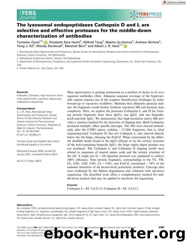 The lysosomal endopeptidases Cathepsin D and L are selective and effective proteases for the middleâdown characterization of antibodies by Unknown
