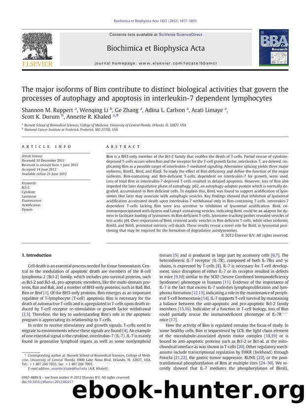 The major isoforms of Bim contribute to distinct biological activities that govern the processes of autophagy and apoptosis in interleukin-7 dependent lymphocytes by unknow