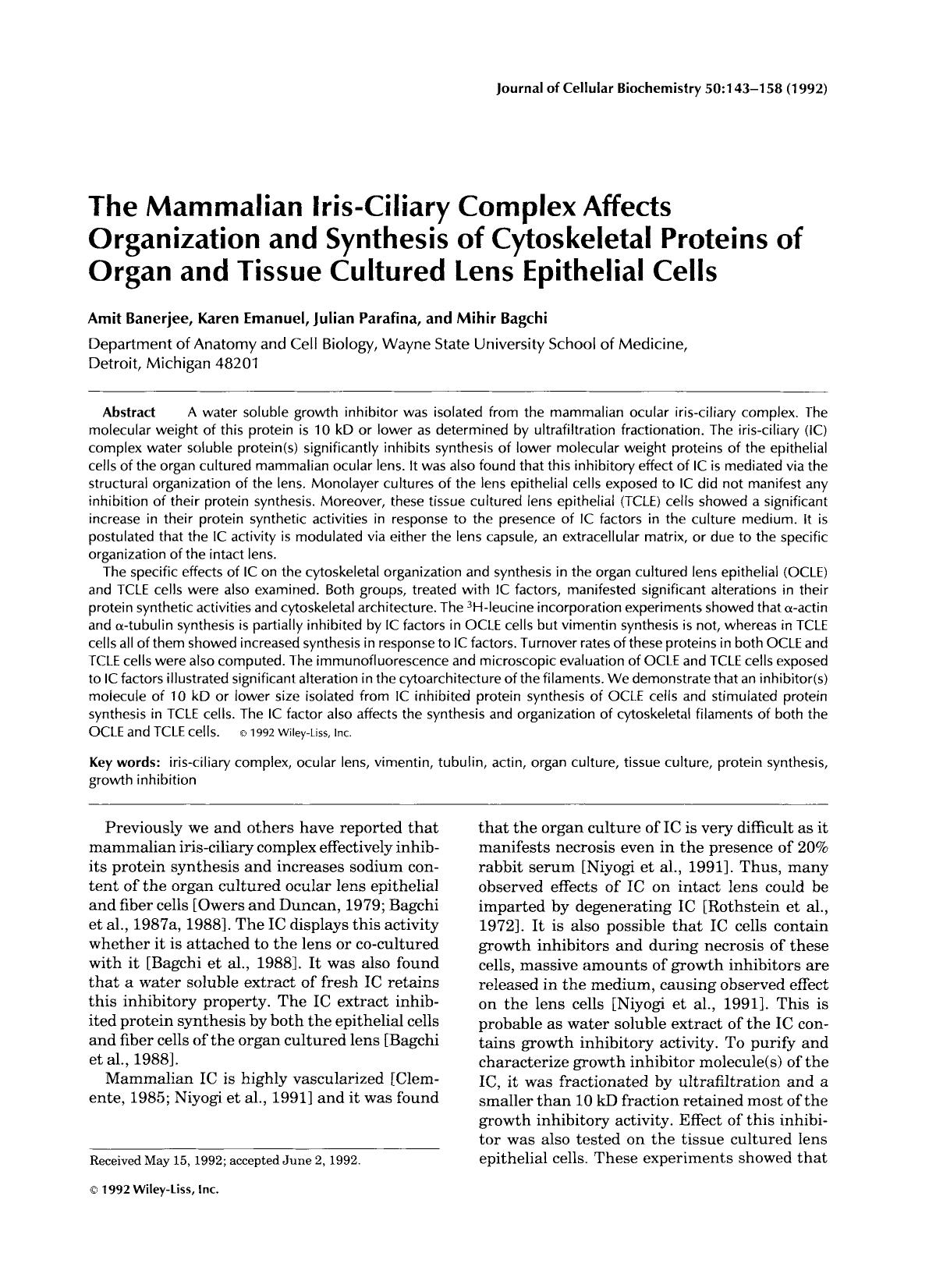 The mammalian iris-ciliary complex affects organization and synthesis of cytoskeletal protein of organ and tissue cultured lens epithelial cells by Unknown