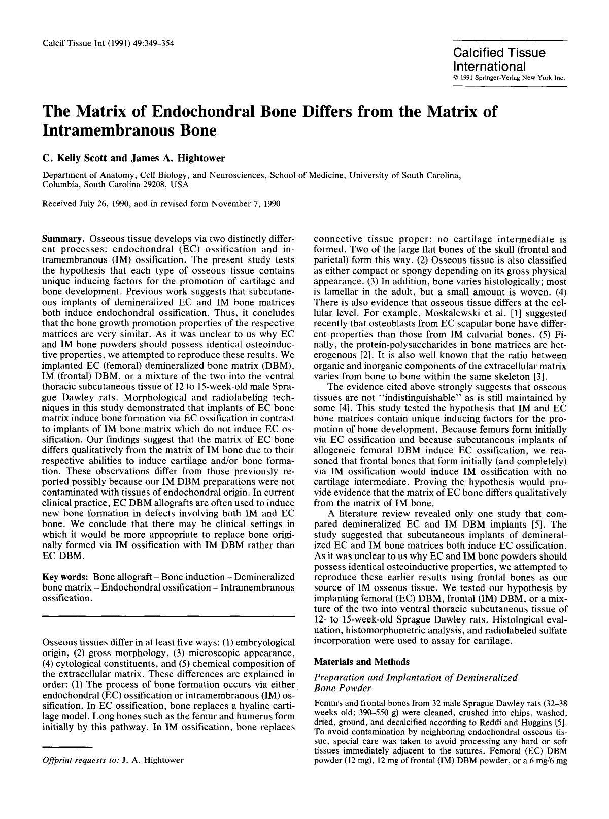 The matrix of endochondral bone differs from the matrix of intramembranous bone by Unknown