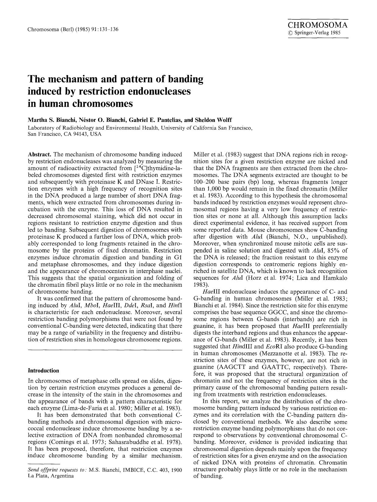 The mechanism and pattern of banding induced by restriction endonucleases in human chromosomes by Unknown