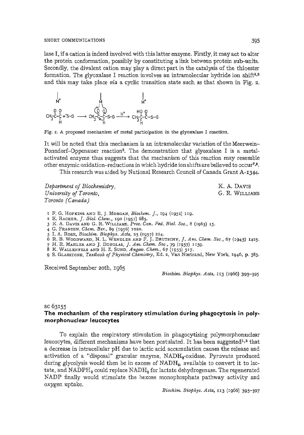 The mechanism of the respiratory stimulation during phagocytosis in polymorphonuclear leucocytes by F. Rossi; M. Zatti
