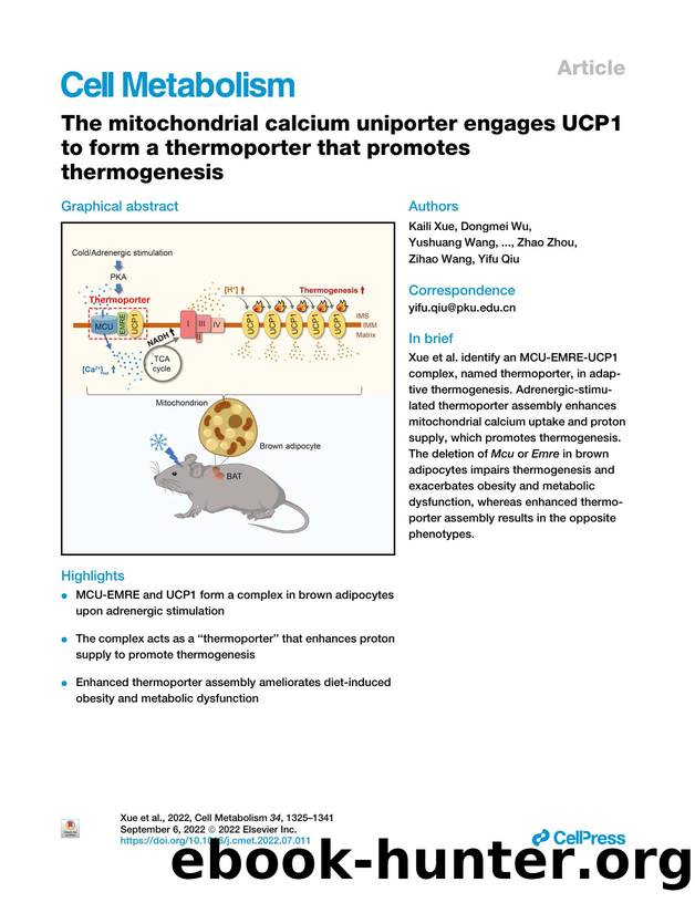 The mitochondrial calcium uniporter engages UCP1 to form a thermoporter that promotes thermogenesis by unknow
