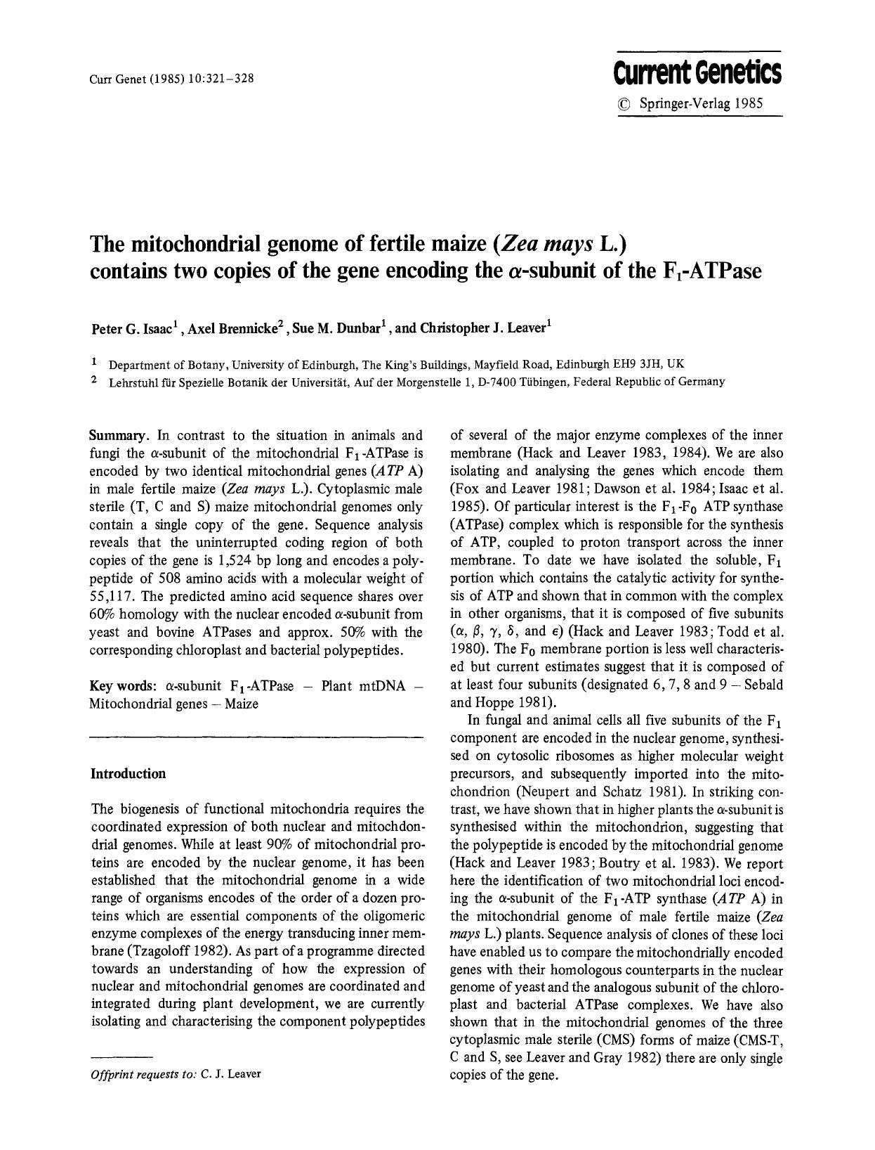 The mitochondrial genome of fertile maize (<Emphasis Type="Italic">Zea mays<Emphasis> L.) contains two copies of the gene encoding the <Emphasis Type="Italic">&#x03B1;<Emphasis>-su by Unknown