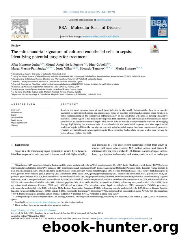 The mitochondrial signature of cultured endothelial cells in sepsis: Identifying potential targets for treatment by unknow