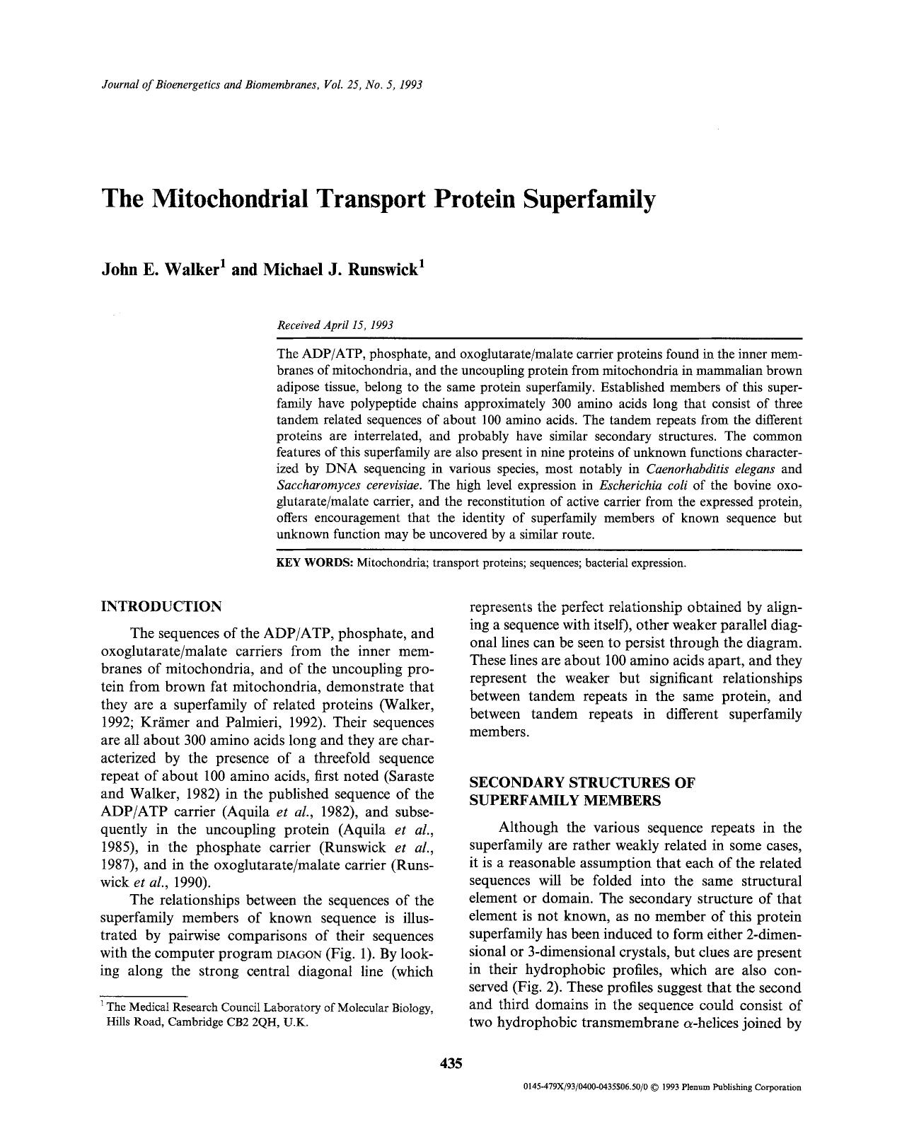 The mitochondrial transport protein superfamily by Unknown