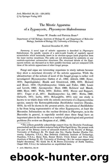 The mitotic apparatus of a zygomycete, <Emphasis Type="Italic">Phycomyces blakesleeanus<Emphasis> by Unknown