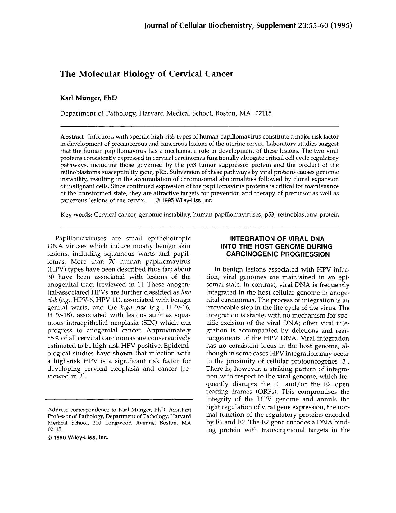 The molecular biology of cervical cancer by Unknown