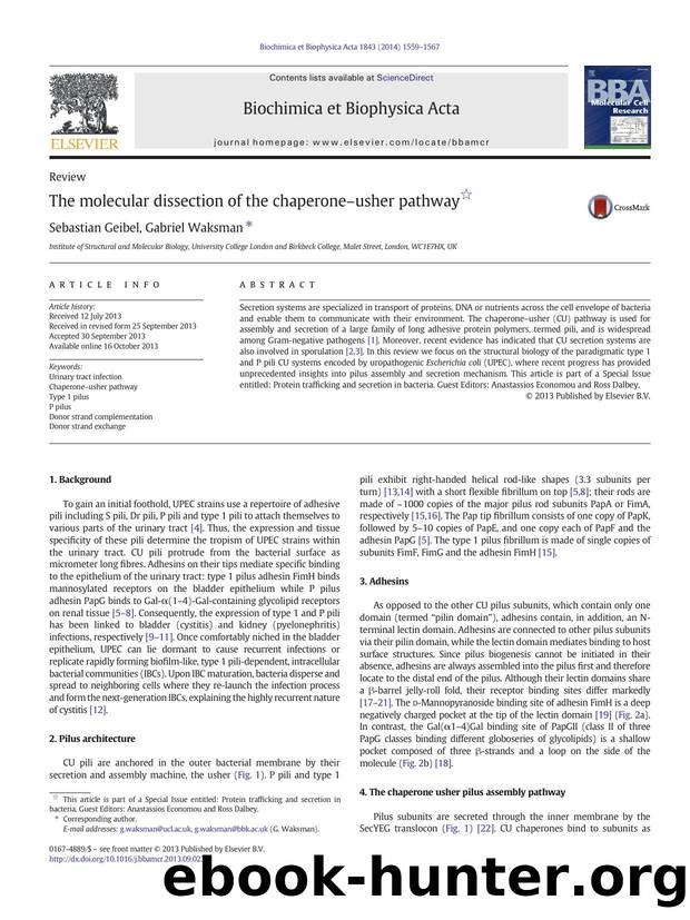 The molecular dissection of the chaperoneâusher pathway by Sebastian Geibel & Gabriel Waksman