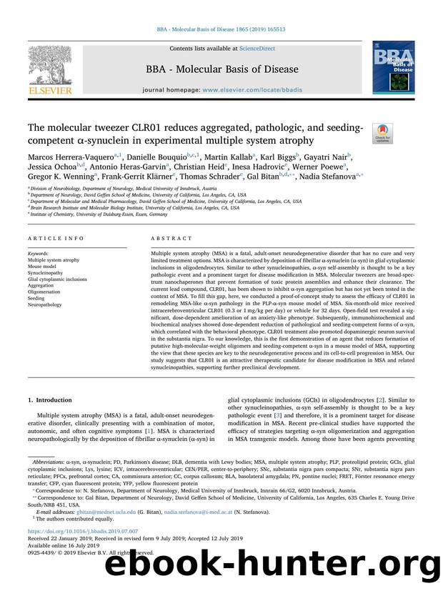 The molecular tweezer CLR01 reduces aggregated, pathologic, and seeding-competent Î±-synuclein in experimental multiple system atrophy by unknow