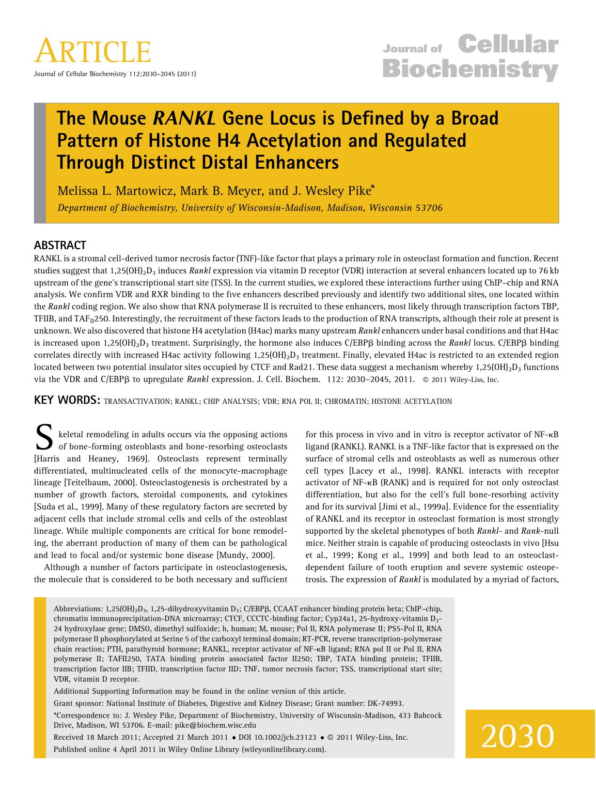 The mouse RANKL gene locus is defined by a broad pattern of histone H4 acetylation and regulated through distinct distal enhancers by Unknown
