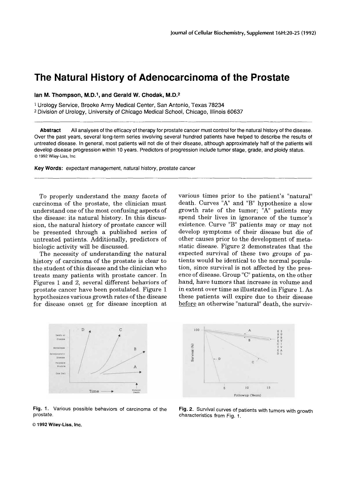 The natural history of adenocarcinoma of the prostate by Unknown