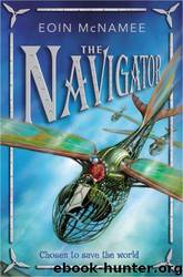 The navigator by Eoin McNamee