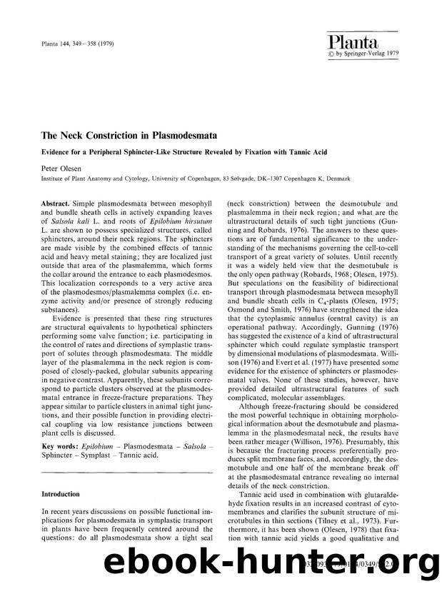 The neck constriction in plasmodesmata by Unknown