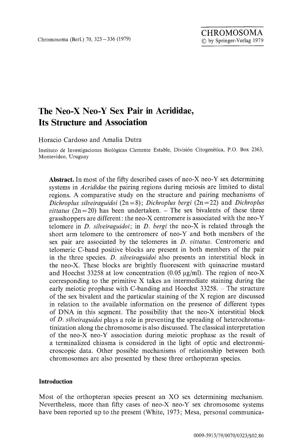 The neo-X neo-Y sex pair in Acrididae, its structure and association by Unknown