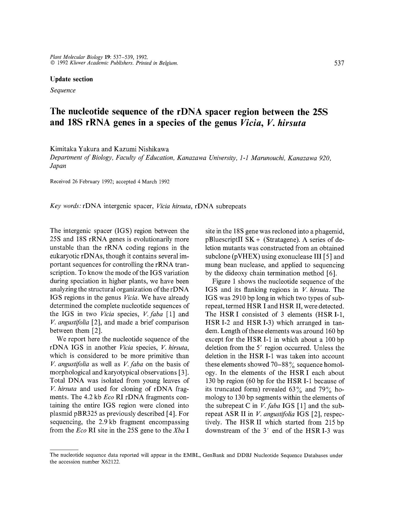 The nucleotide sequence of the rDNA spacer region between the 25S and 18S rRNA genes in a species of the genus <Emphasis Type="Italic">Vicia, V. hirsuta<Emphasis> by Unknown