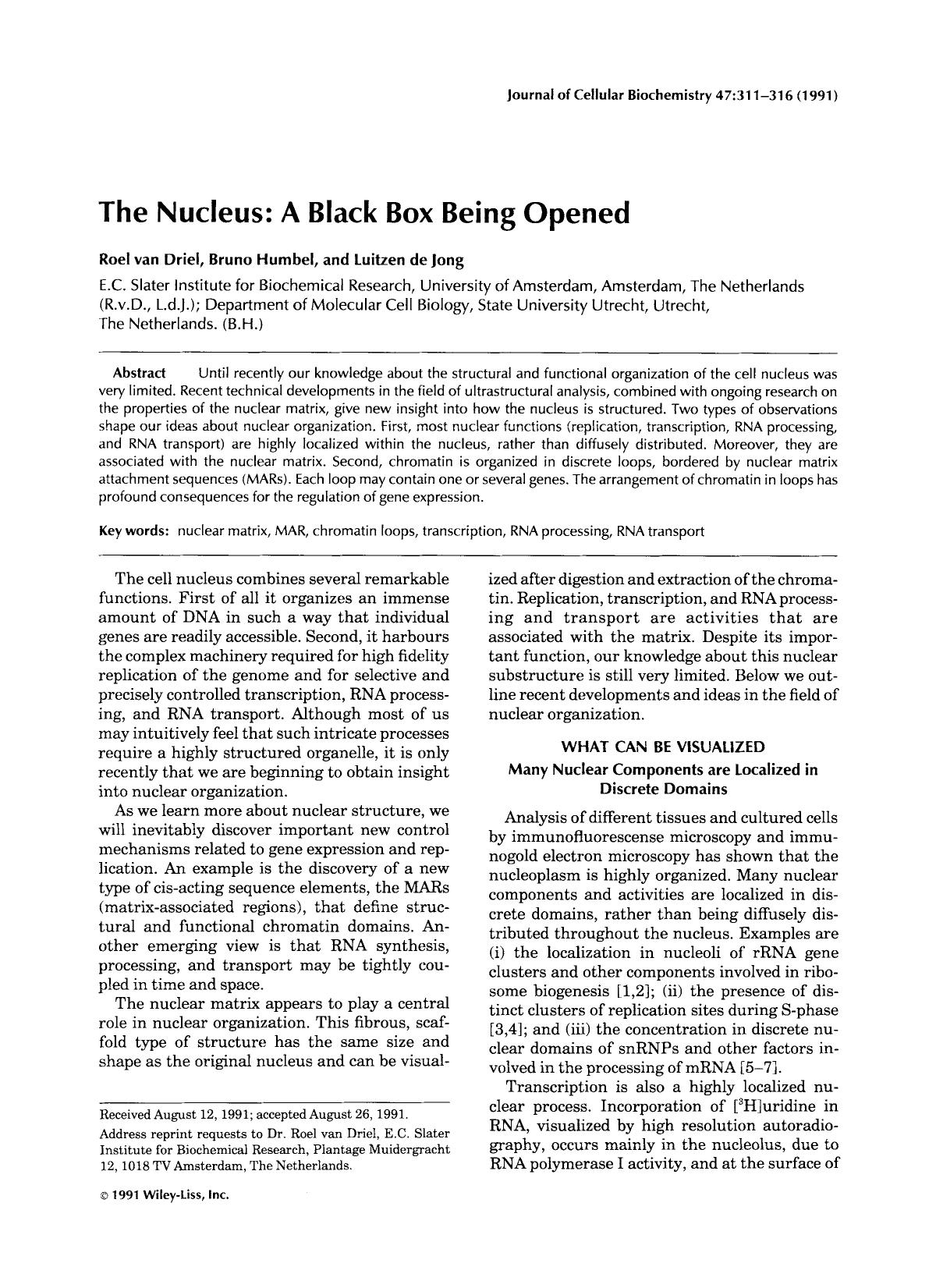 The nucleus: A black box being opened by Unknown