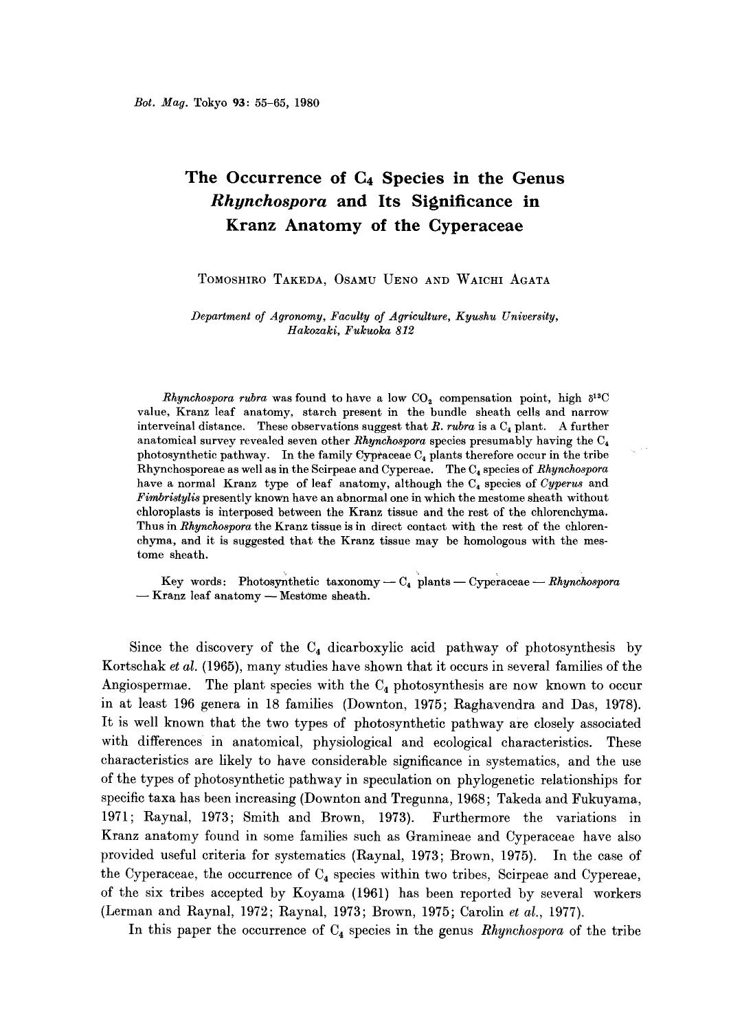 The occurrence of C <Subscript>4 <Subscript> species in the genus <Emphasis Type="Italic">Rhynchospora <Emphasis> and its significance in kranz anatomy of the cyperaceae by Unknown