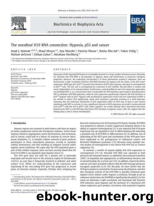 The oncofetal H19 RNA connection: Hypoxia, p53 and cancer by unknow