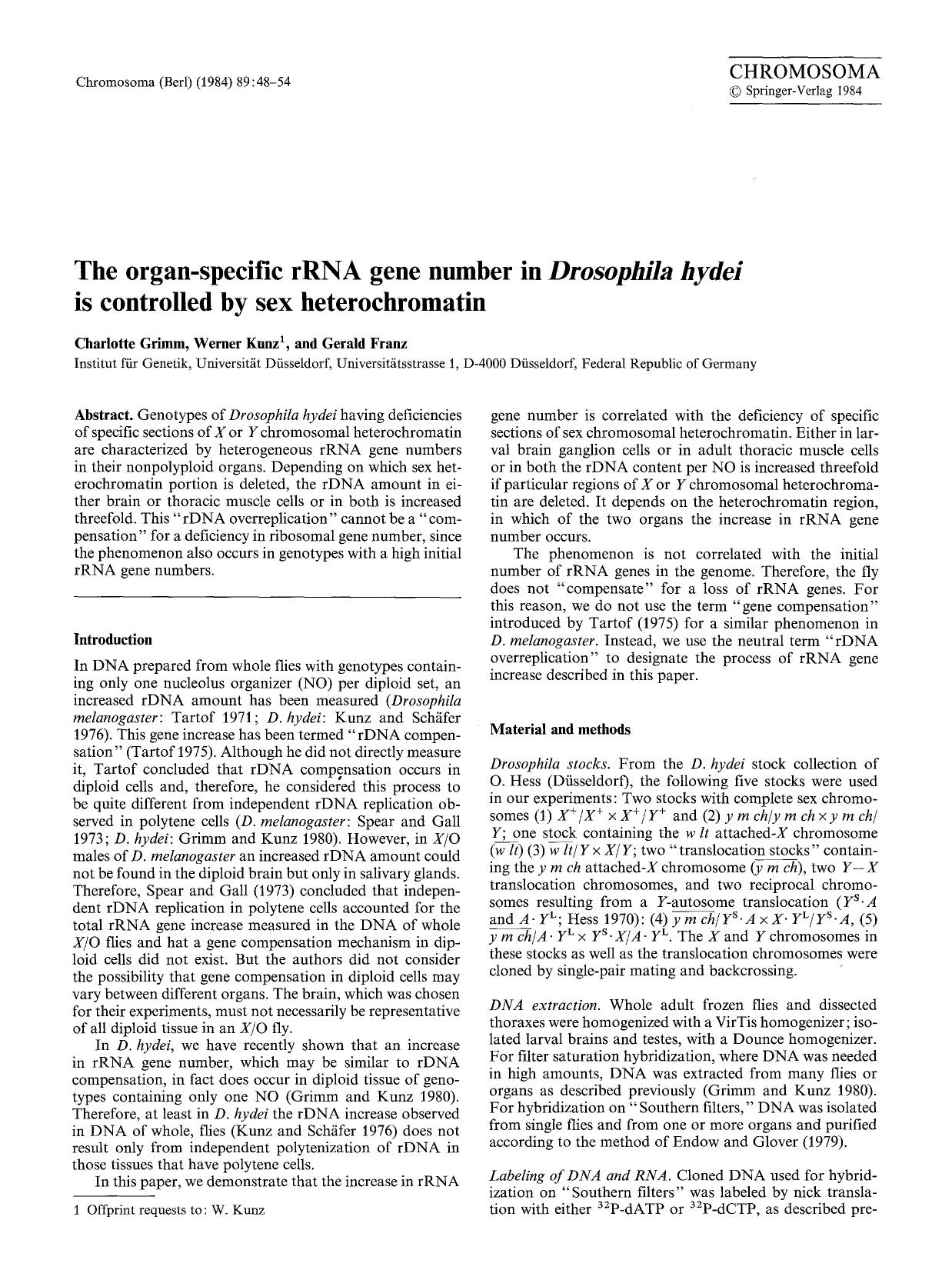 The organ-specific rRNA gene number in <Emphasis Type="Italic">Drosophila hydei<Emphasis> is controlled by sex heterochromatin by Unknown