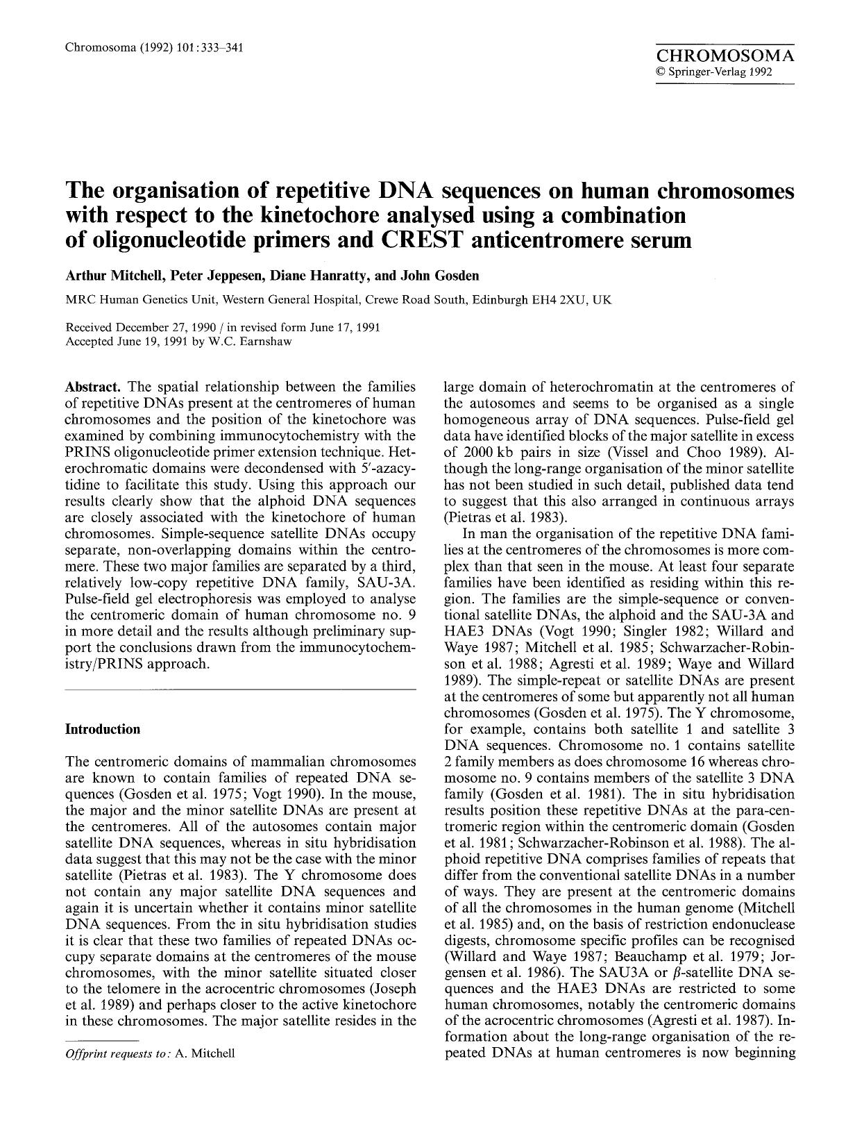 The organisation of repetitive DNA sequences on human chromosomes with respect to the kinetochore analysed using a combination of oligonucleotide primers and CREST anticentromere serum by Unknown