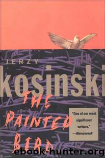 The painted bird by Jerzy Kosinski