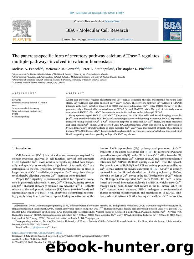 The pancreas-specific form of secretory pathway calcium ATPase 2 regulates multiple pathways involved in calcium homeostasis by Melissa A. Fenech & McKenzie M. Carter & Peter B. Stathopulos & Christopher L. Pin